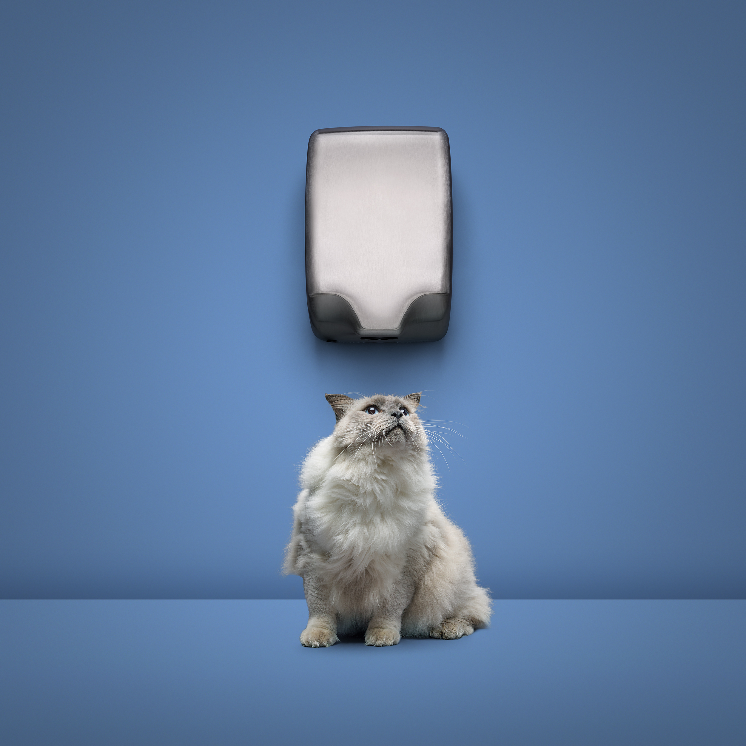 Asistent/ka obchodního oddělení (back office)